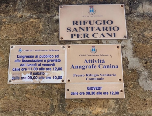 Comune di Castelvetrano. Visita al canile comunale
