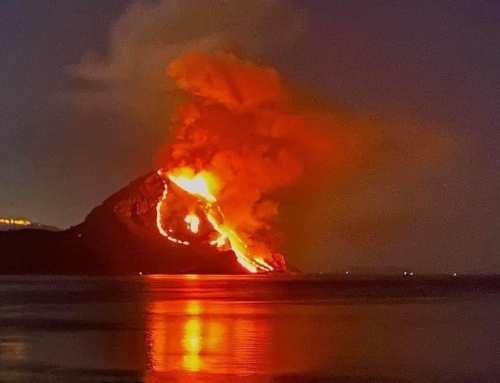 Incendio alla Riserva Monte Cofano. Interrogazione al Presidente della Regione e all’Assessore