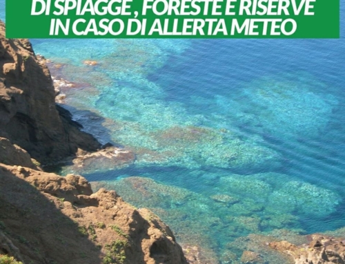 Ars. Approvato odg di Attiva Sicilia: NO spiagge e foreste chiuse con allerta meteo gialla